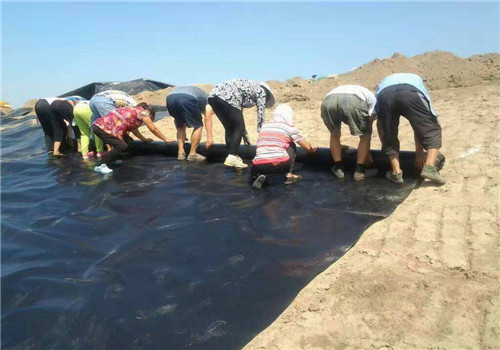 土工布小知識(shí):土工布在加筋土壩中的受力分析